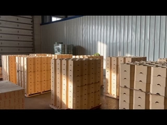 DN14 Đồ gạch đất sét lửa gạch đất sét lỗ hổng thấp 42%-47% Al2o3 Đồ gạch lửa nhiệt độ cao